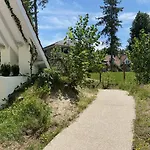 La Garrigue, Au Milieu Des Pins Maritimes... * Кюк