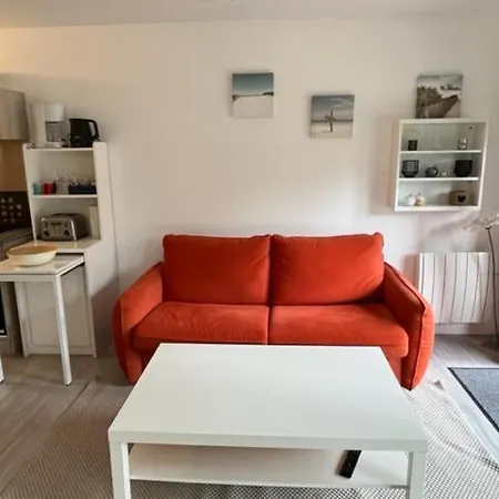 La Garrigue, Au Milieu Des Pins Maritimes... *