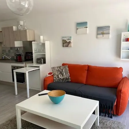 La Garrigue, Au Milieu Des Pins Maritimes... Кюк